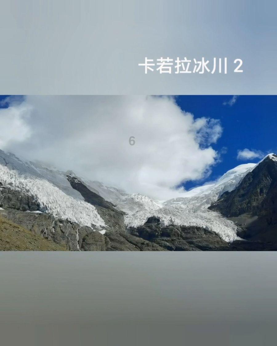 见缝插刀2