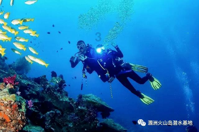 复星入驻后的2023,六大关键词复盘夜郎古酒成绩单